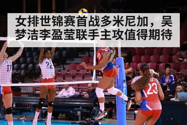 volleyball spike attack